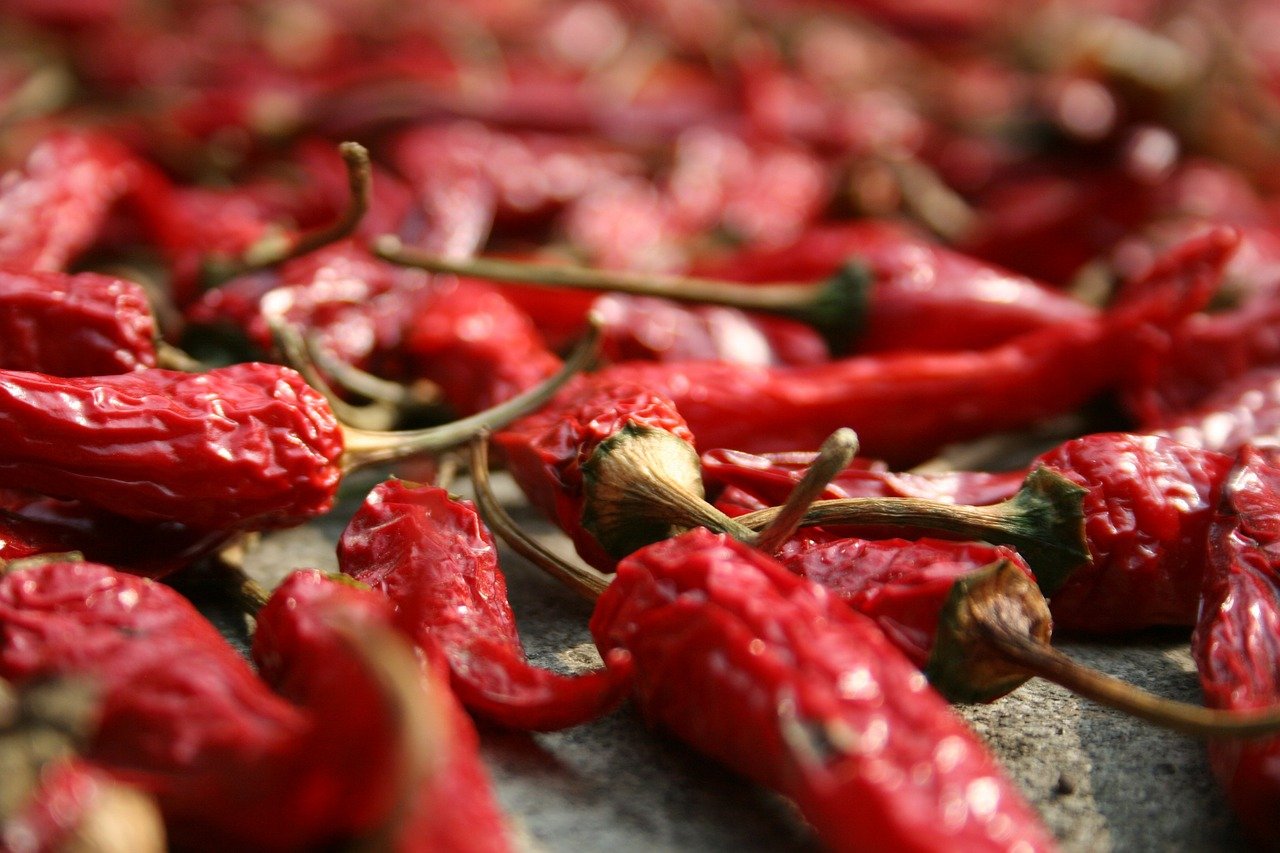 sušené chilli papričky